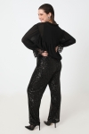 Sequined mesh lined pants